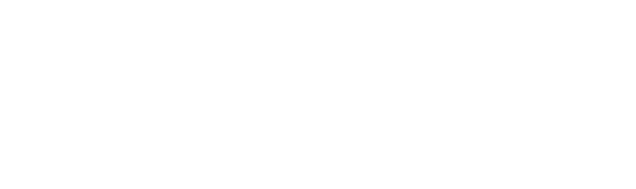 Kingdom Timber